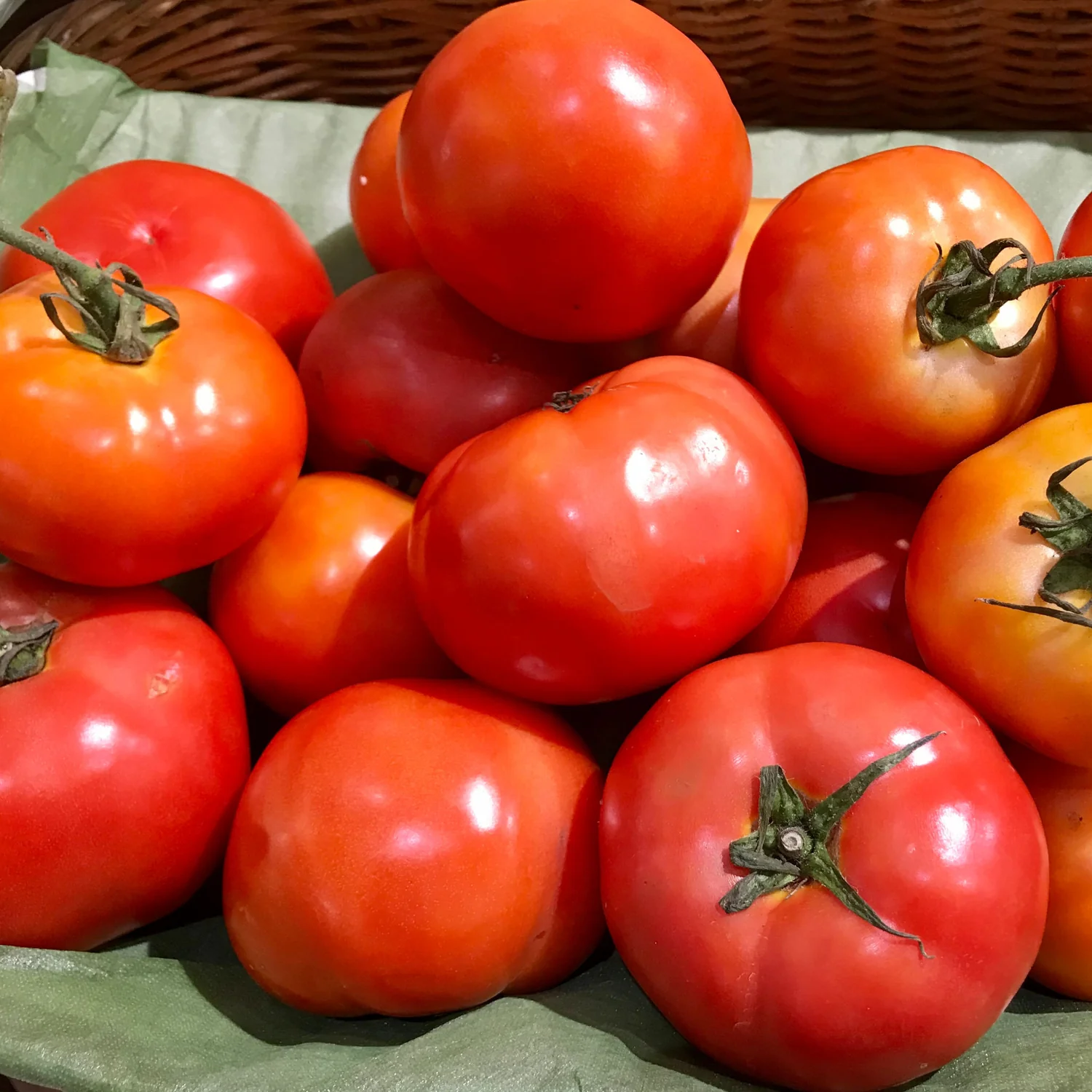 Tomato